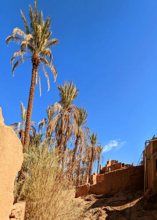 Riad Tagmadarte Ferme D'Hote Загора Екстер'єр фото