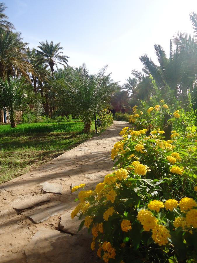 Riad Tagmadarte Ferme D'Hote Загора Екстер'єр фото