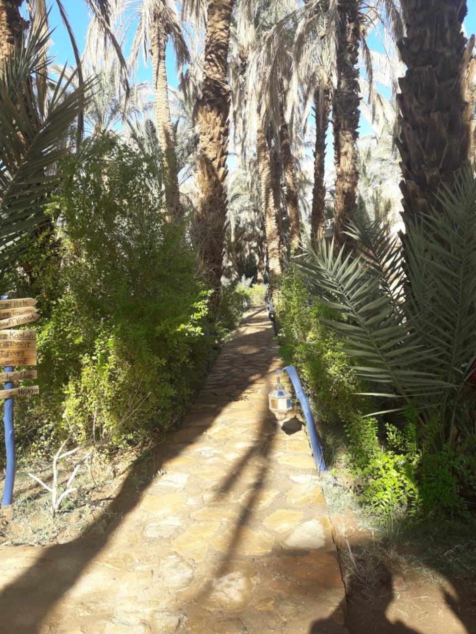 Riad Tagmadarte Ferme D'Hote Загора Екстер'єр фото