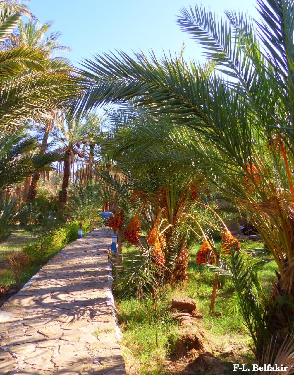 Riad Tagmadarte Ferme D'Hote Загора Екстер'єр фото