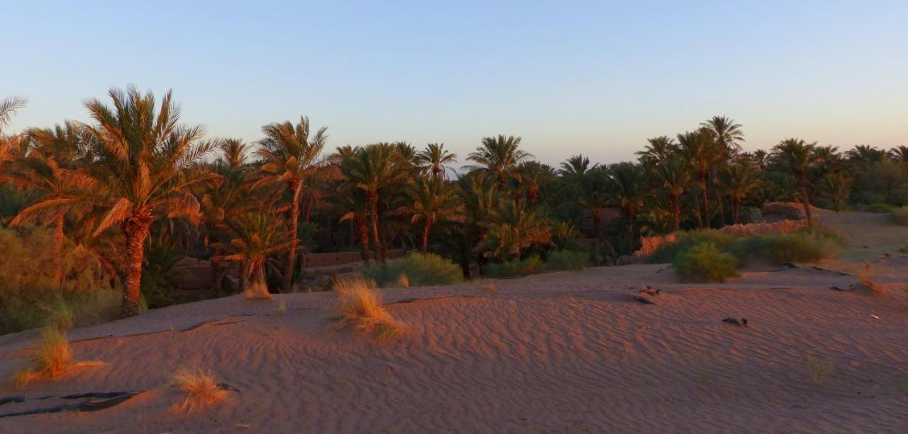 Riad Tagmadarte Ferme D'Hote Загора Екстер'єр фото